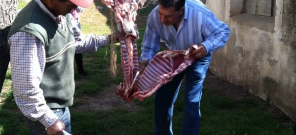 Meat in Mexico (Sheep Slaughter and Pig Processing)