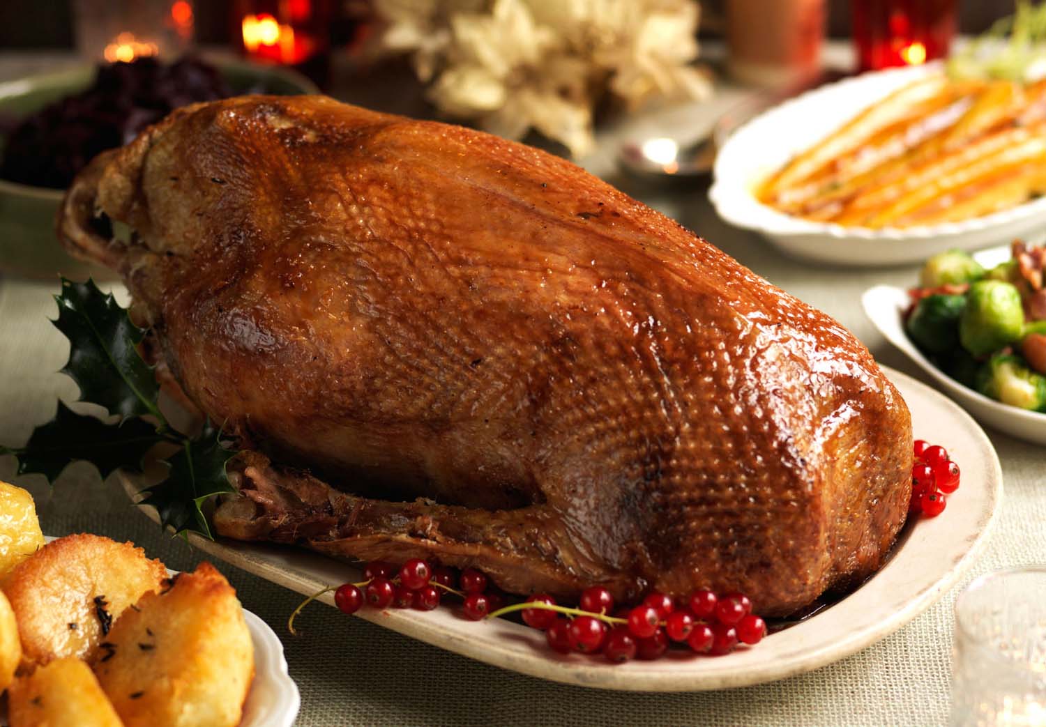 Roasted Holiday Goose, image size:1500x1043