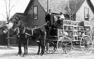 American Hatcheries in the 20th Century!