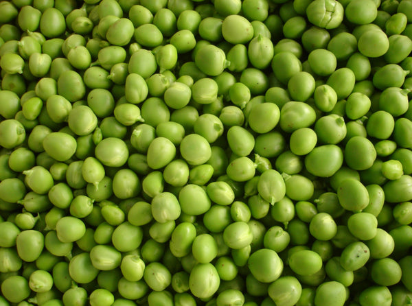 Scaffata, Braised Spring Vegetables by Lidia Bastianich