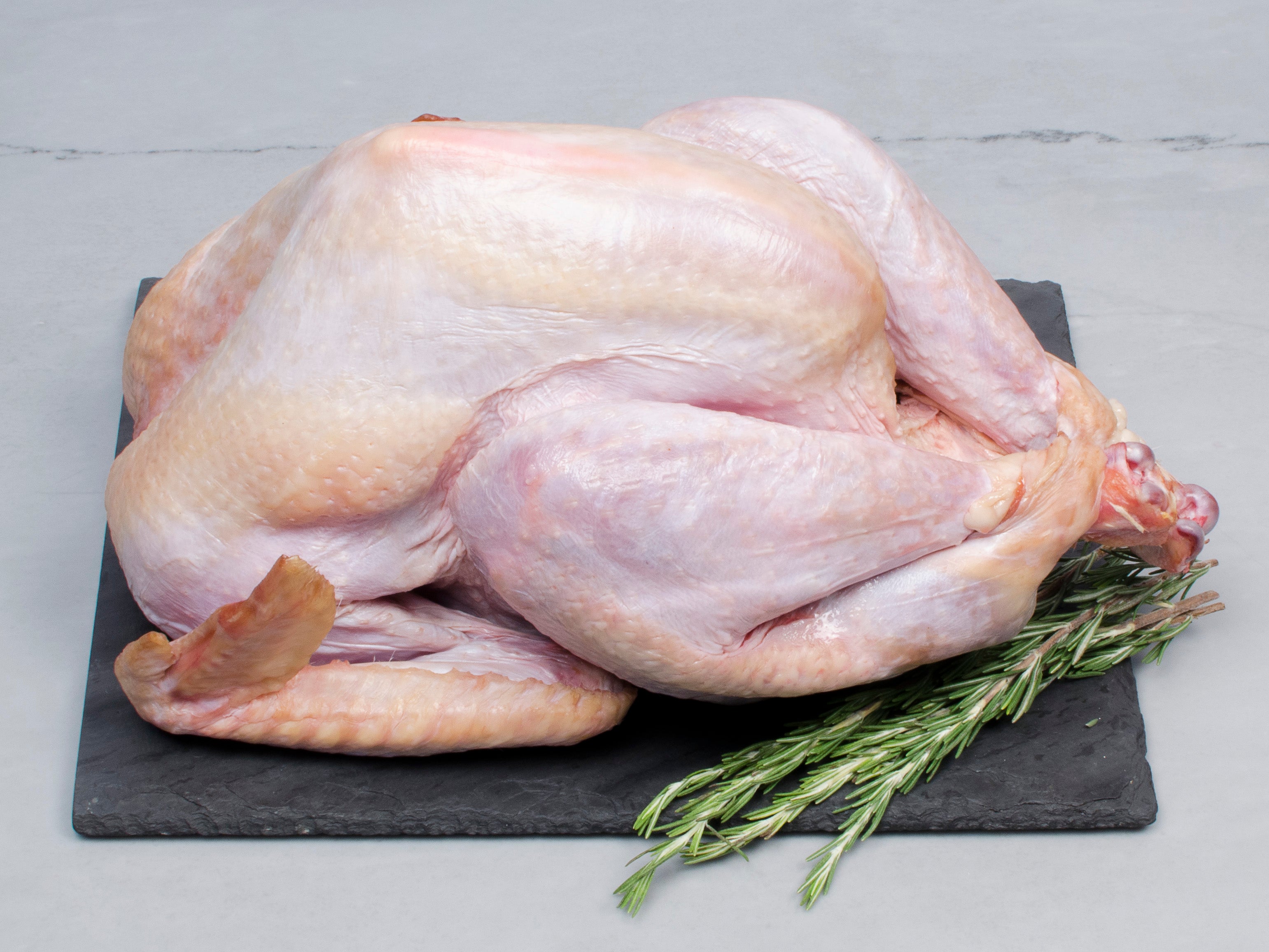 Heritage Turkey from Good Shepherd Poultry Ranch