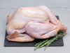 Heritage Turkey from Good Shepherd Poultry Ranch