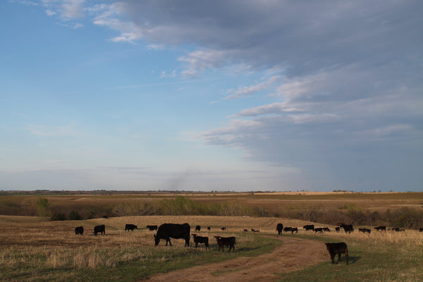 Good Farm — Heritage breeds raised in the Kansas Flint Hills