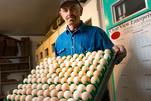 Meet Frank Reese, the most respected American poultry breeder alive today.