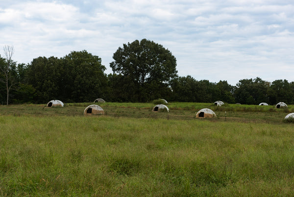 Newman Farm