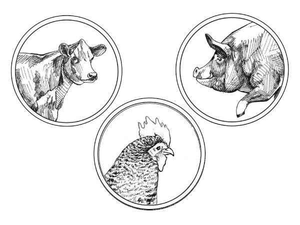 NEW! BREED WEEK TASTING KIT — Flank Steak, Porterhouse Chops, Drumsticks — NOW 25% OFF