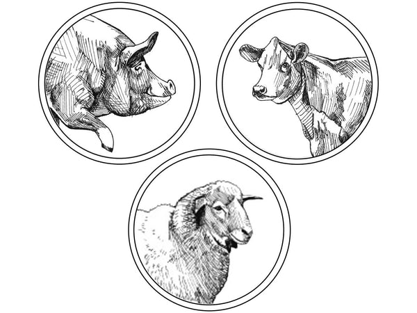 BREED BOX #2: TRI-TIP, CENTER CUT PORK CHOPS & GROUND LAMB — NOW 20% OFF