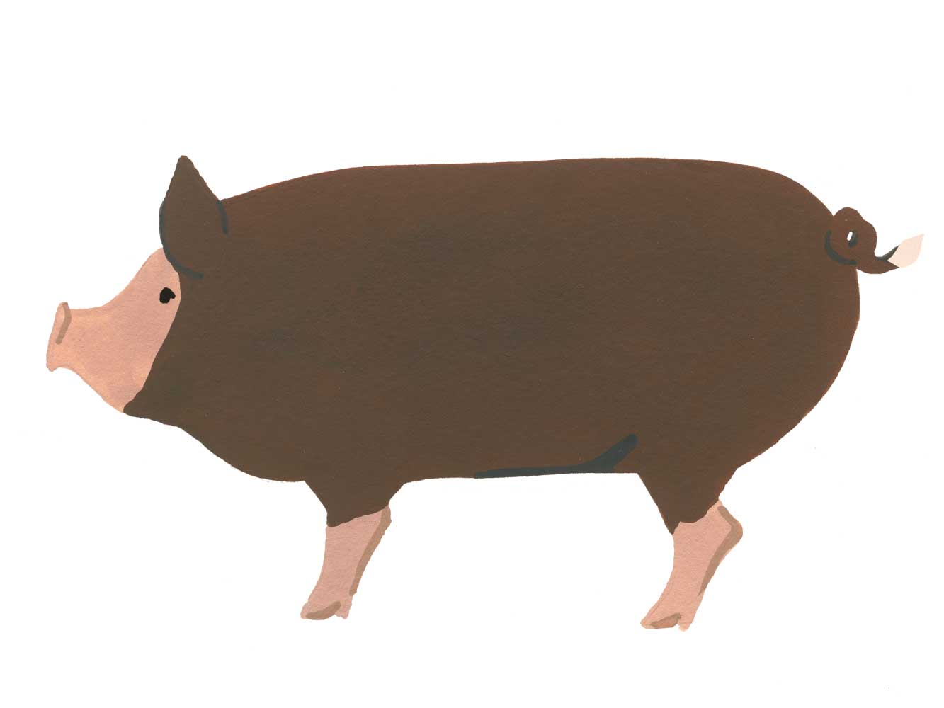 BERKSHIRE SIGNATURE HERITAGE BACON