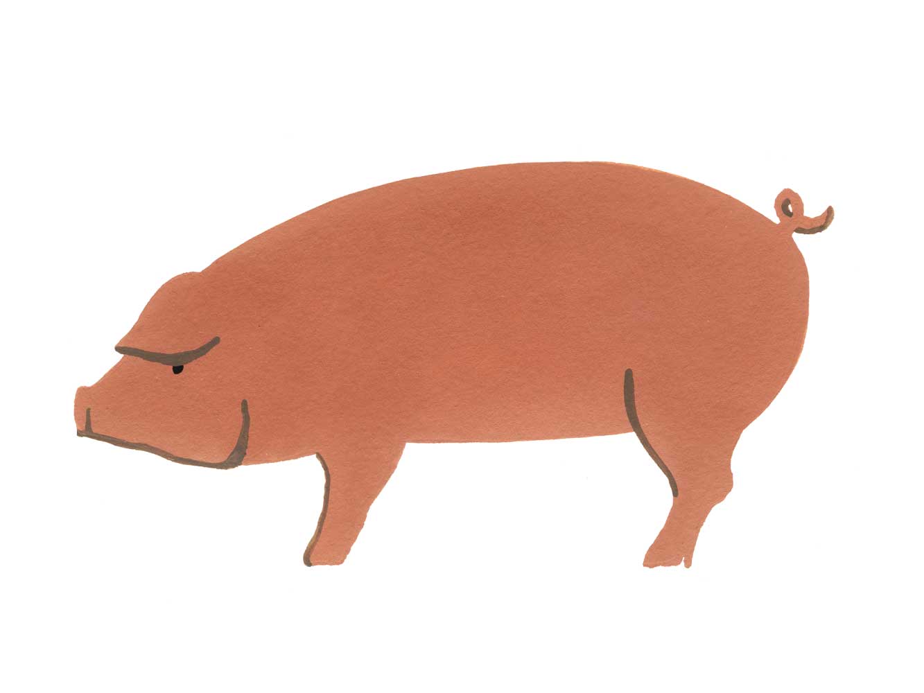 DUROC SIGNATURE HERITAGE BACON