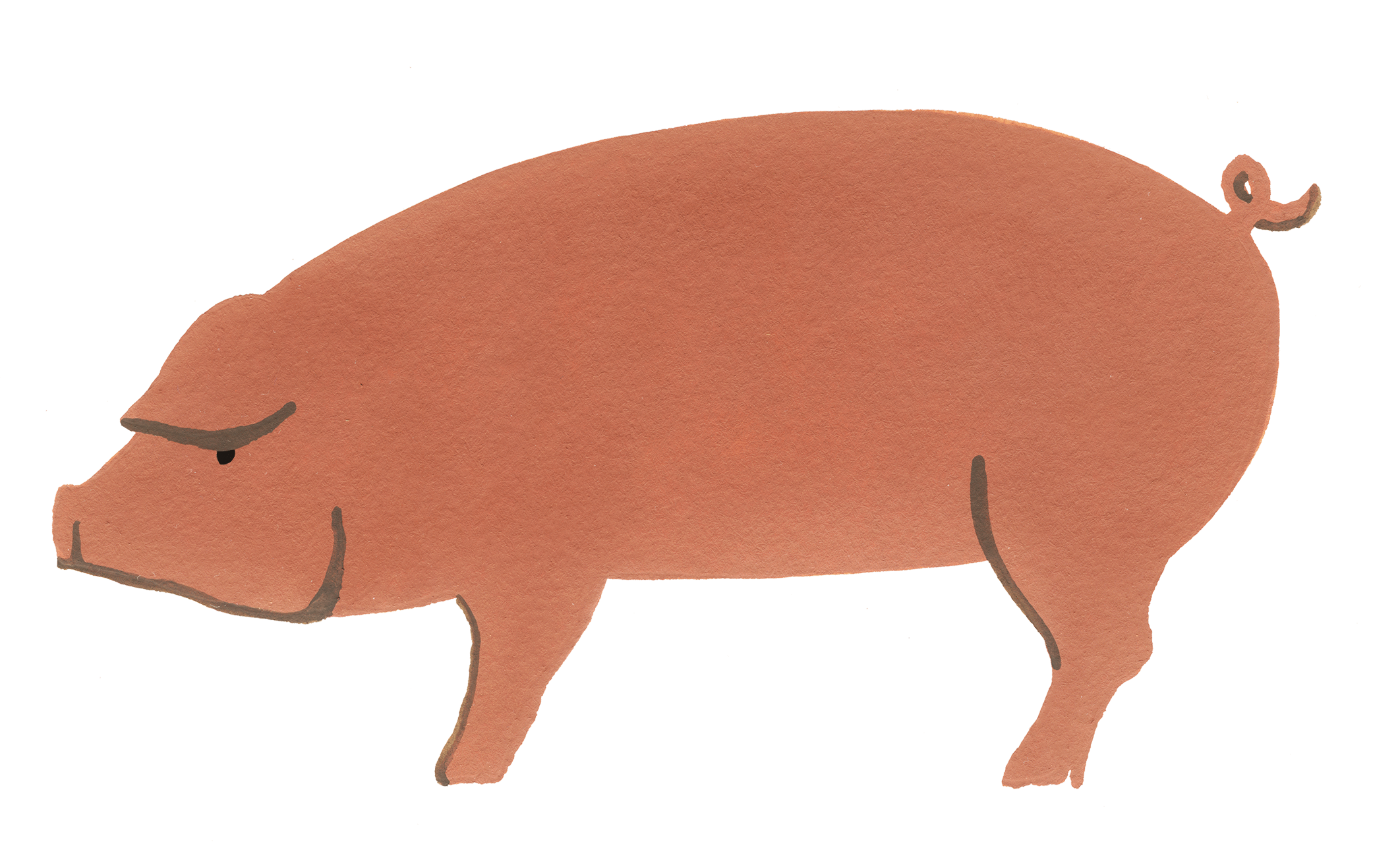 Back Fat, 5lb | Heritage Foods