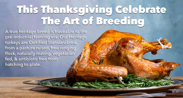 2025 Fresh Heritage Thanksgiving Turkeys