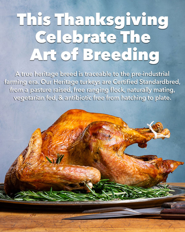 2025 Fresh Heritage Thanksgiving Turkeys