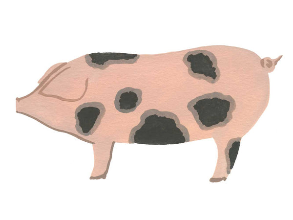 OLD SPOT PORTERHOUSE PORK CHOPS — NOW 40% OFF