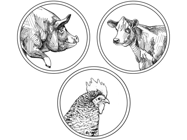 BREED BOX #1: HAMBURGERS, PORTERHOUSE PORK CHOPS & WHOLE CHICKEN — NOW 20% OFF