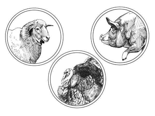 NEW! BREED WEEK TASTING KIT — Poultry, Pork, and Lamb — NOW 25% OFF