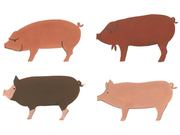 PORTERHOUSE PORK CHOP 4 BREED FLIGHT — NOW 40% OFF