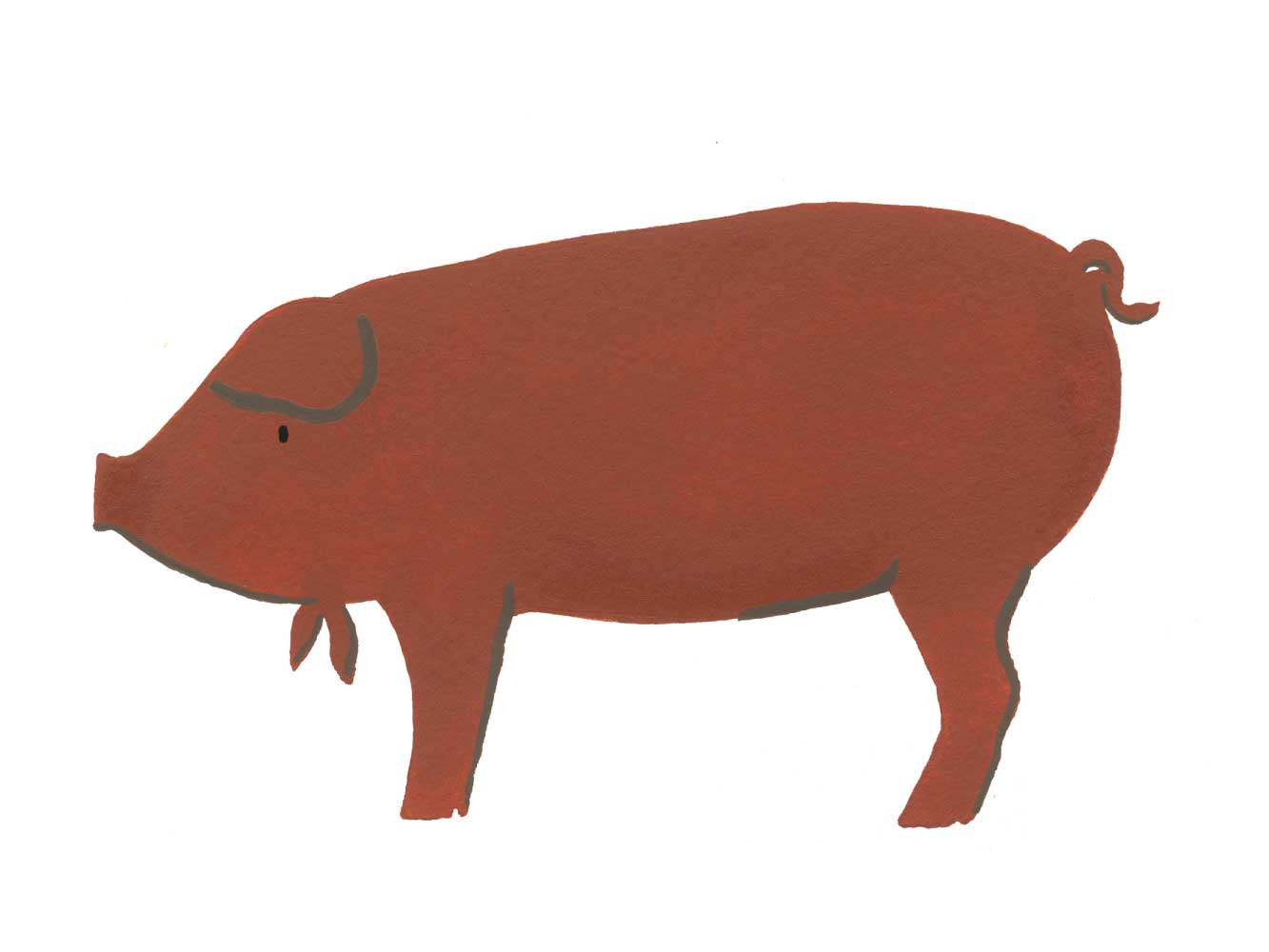 RED WATTLE SIGNATURE HERITAGE BACON