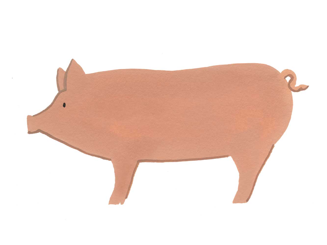 TAMWORTH SIGNATURE HERITAGE BACON