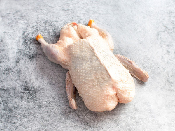WHOLE DUCK