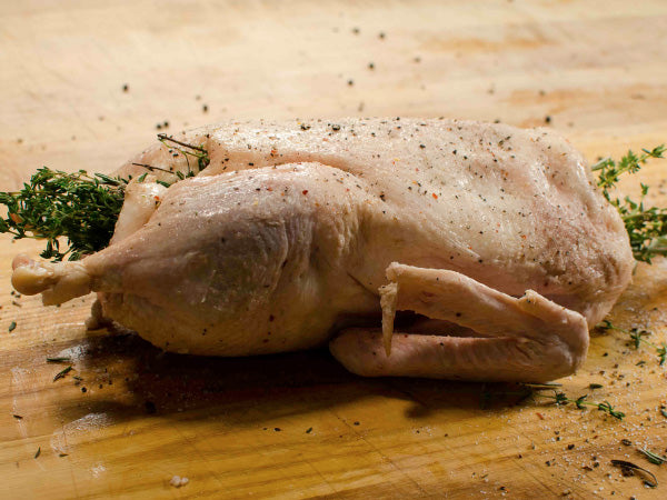 Heritage Toulouse Goose | Good Shepherd Poultry Ranch | Pasture and pond-raised, antibiotic free | Heritage Foods