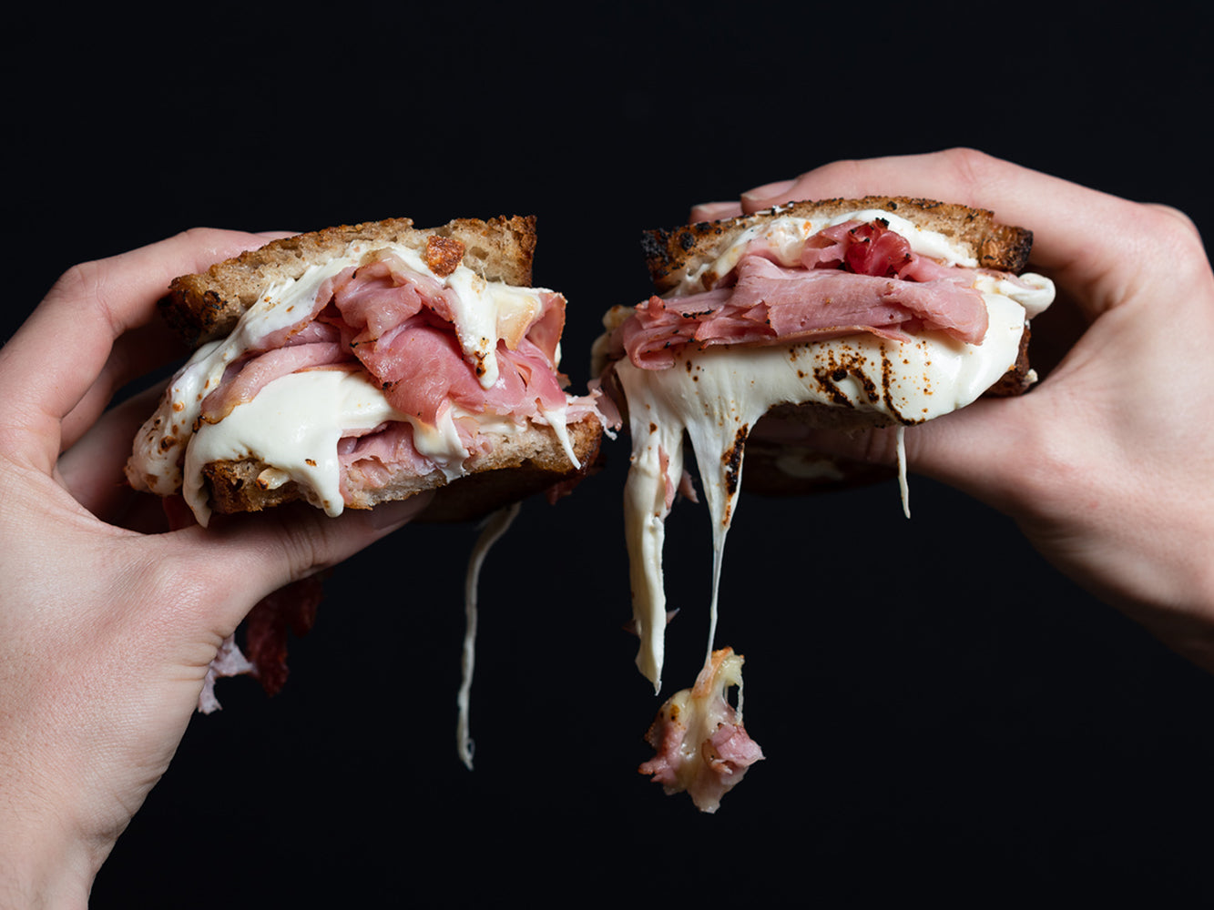Grilled Heritage Ham and Cheese Sandwich